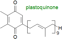 Formula of a plastoquinone