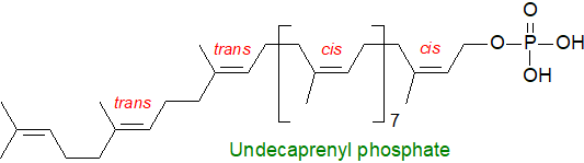 Formula of undecaprenyl phosphate