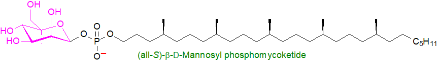 Structure of beta-D-mannosyl phosphomycoketide