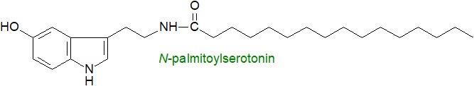 Formula of N-palmitoylserotonin