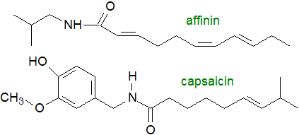 Formulae of affinin and capsaicin