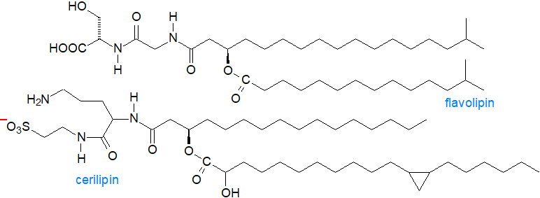 Formulae of flavolipin and cerilipin