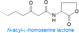 Formula for an N-acyl-L-homoserine lactone