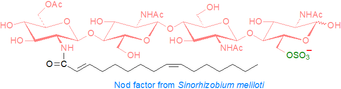 Nodulation factor from Sinorhizobium meliloti