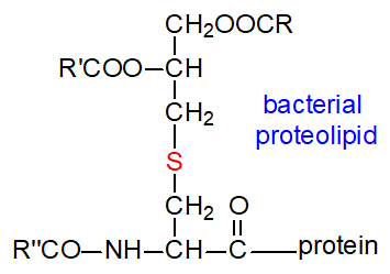 Formula of a bacterial proteolipid