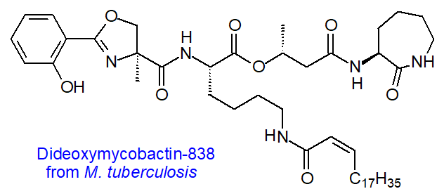 Structure of dideoxymycobactin-838 from M. tuberculosis