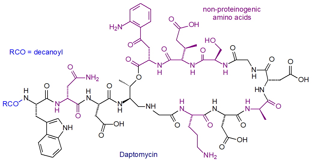 Formula of daptomycin
