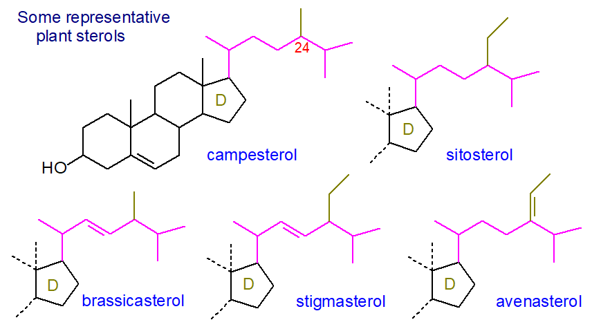 Formulae of plant sterols