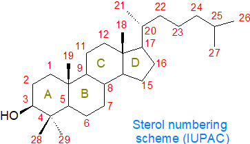 IUPAC numbering scheme for sterols