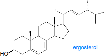 Formula of ergosterol