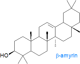 Formula of beta-amyrin