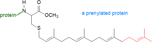 Structure of a prenylated protein