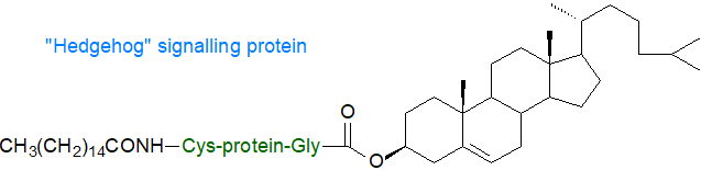 Structure of a 'hedgehog' signalling protein