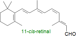 Formula of 11-cis-retinal