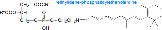 Formula of retinylidene-phosphatidylethanolamine