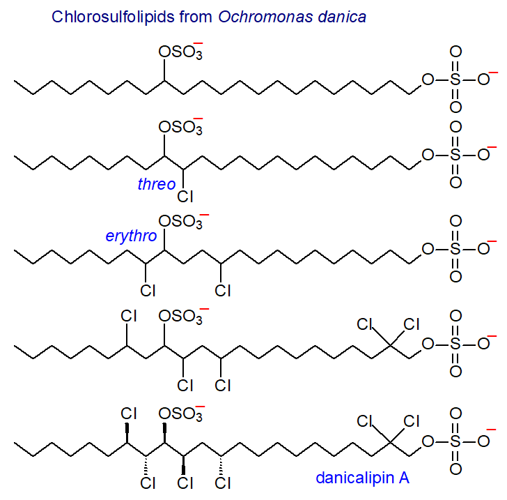 Structures of some chlorosulfolipids of Ochromonas danica