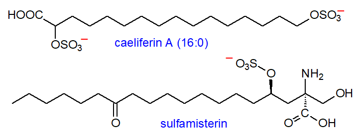 Structures of caeliferin A and sulfamisterin