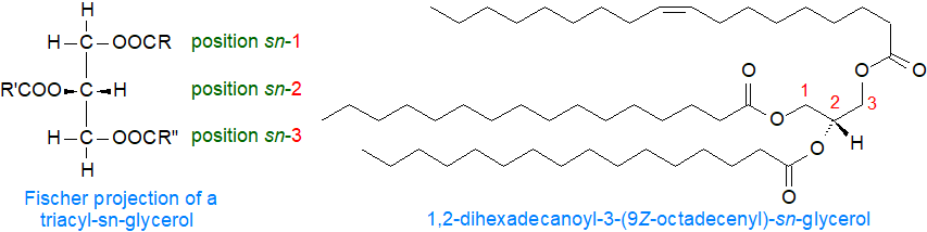 Formulae of triacyl-sn-glycerols