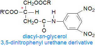 Diacylglycerols - 3,5-dinitrophenyl urethane derivatives