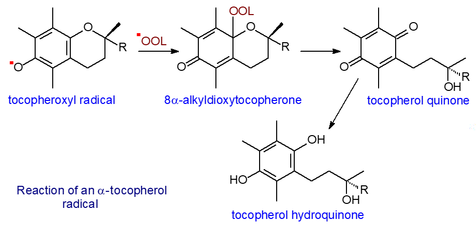 Tocopherol as an antioxidant