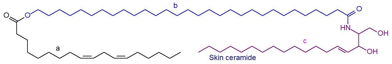 Formula of a skin ceramide
