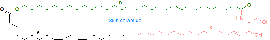 Formula of a skin ceramide