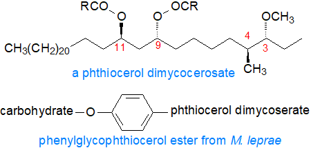 Formulae of a phthiocerol ester and phenylglycolipid from M. leprae