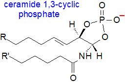 Formula of ceramide 1,3-cyclic phosphate