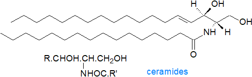 Structural formula of a ceramide