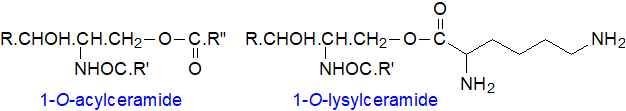 Formula of 1-O-acyl (and lysyl) ceramides