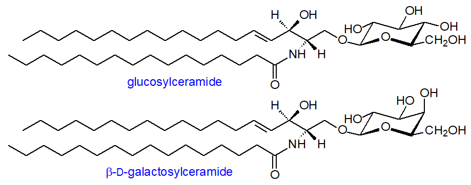 Structural formulae for glucosyl- and galactosylceramide