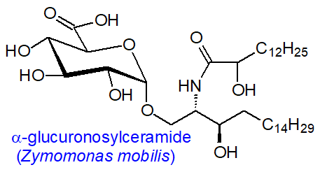 Formula of alpha-glucuronosylceramide