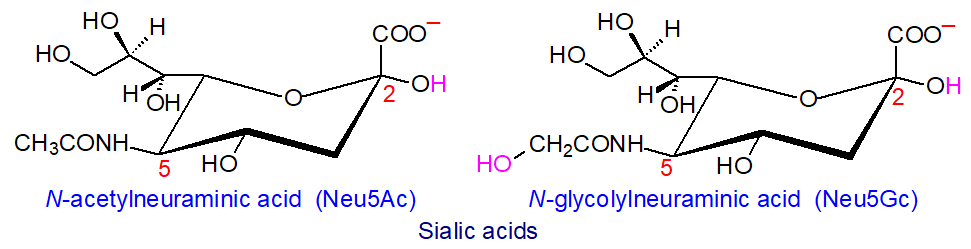 Formulae for sialic acids