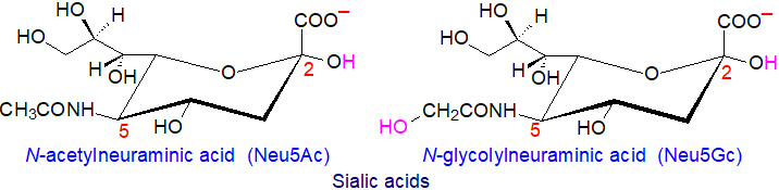 Formulae for sialic acids