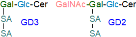 Structures of gangliosides GD2 and GD3