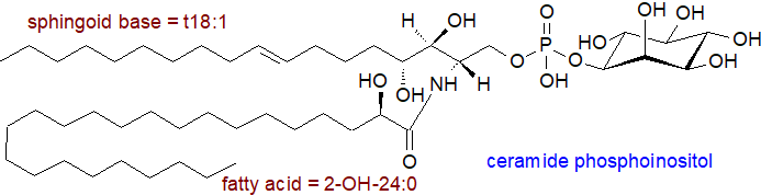 Structural formula of ceramide phosphoinositol