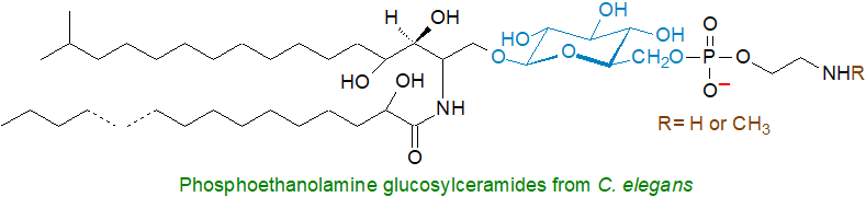 Formula of phosphoethanolamine glucosylceramides from C. elegans