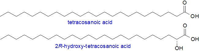 Fatty acids of sphingolipids