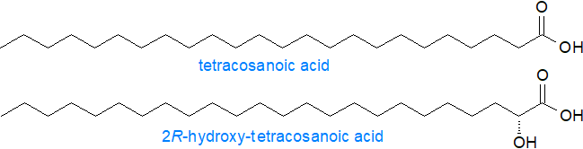 Fatty acids of sphingolipids