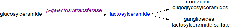 Lactosylceramide as a glycosphingolipid intermediate