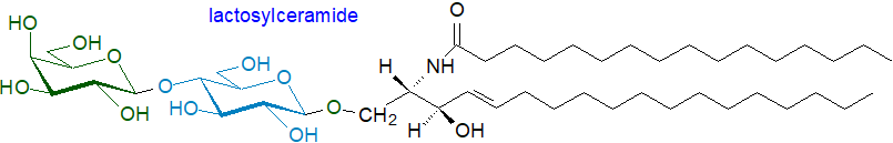 Structural formula of lactosylceramide