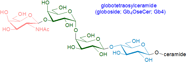 Formula of a globotetraosylceramide