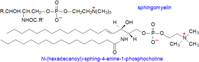 Structural formula of sphingomyelin