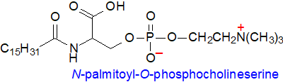 Formula - N-palmitoyl-O-phosphocholineserine