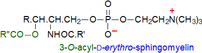 Formula of 3-O-acyl-sphingomyelin