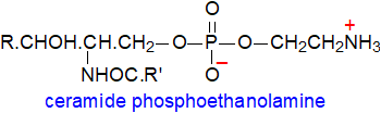 Formula of ceramide phosphoethanolamine