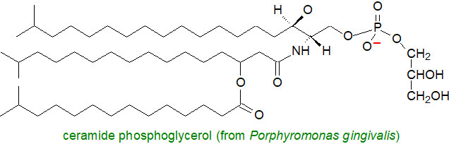 Formula of ceramide phosphoglycerol