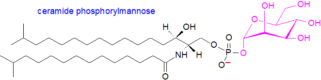 Structural formula of ceramide phosphorylmannose