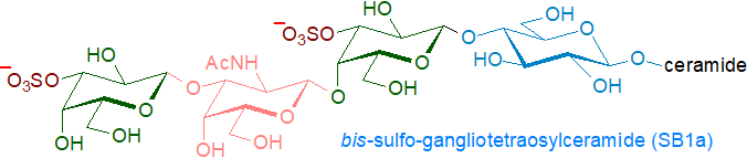 Formula of bis-sulfo-gangliotetraosylceramide (SB1a)