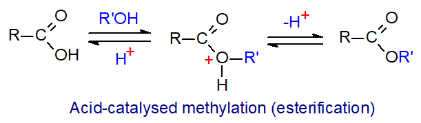 Acid-catalysed methylation